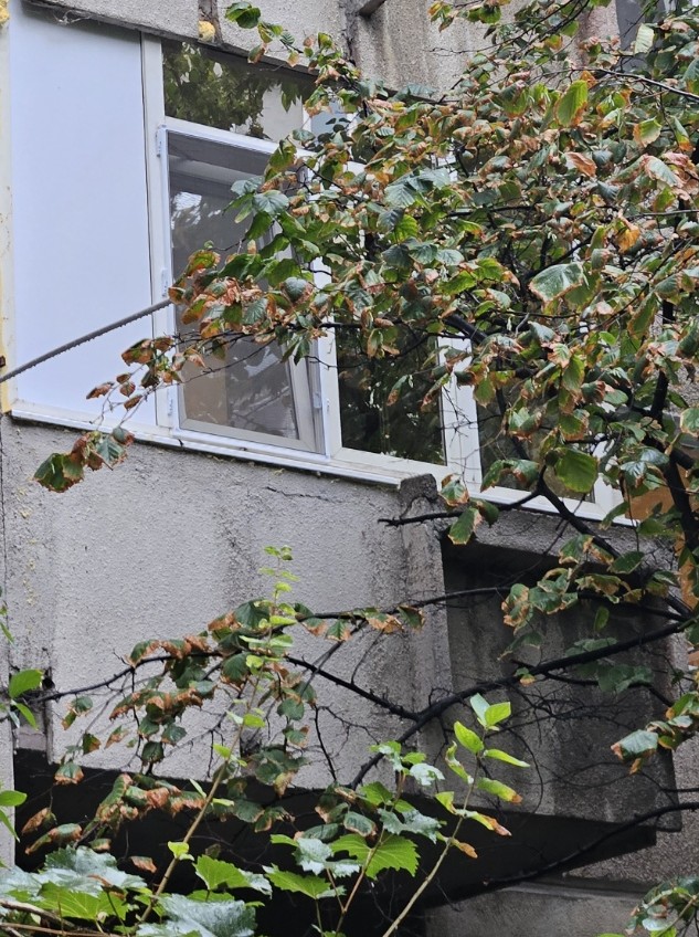 Imagine 1 pentru Montaj polistiren și finisare balcon